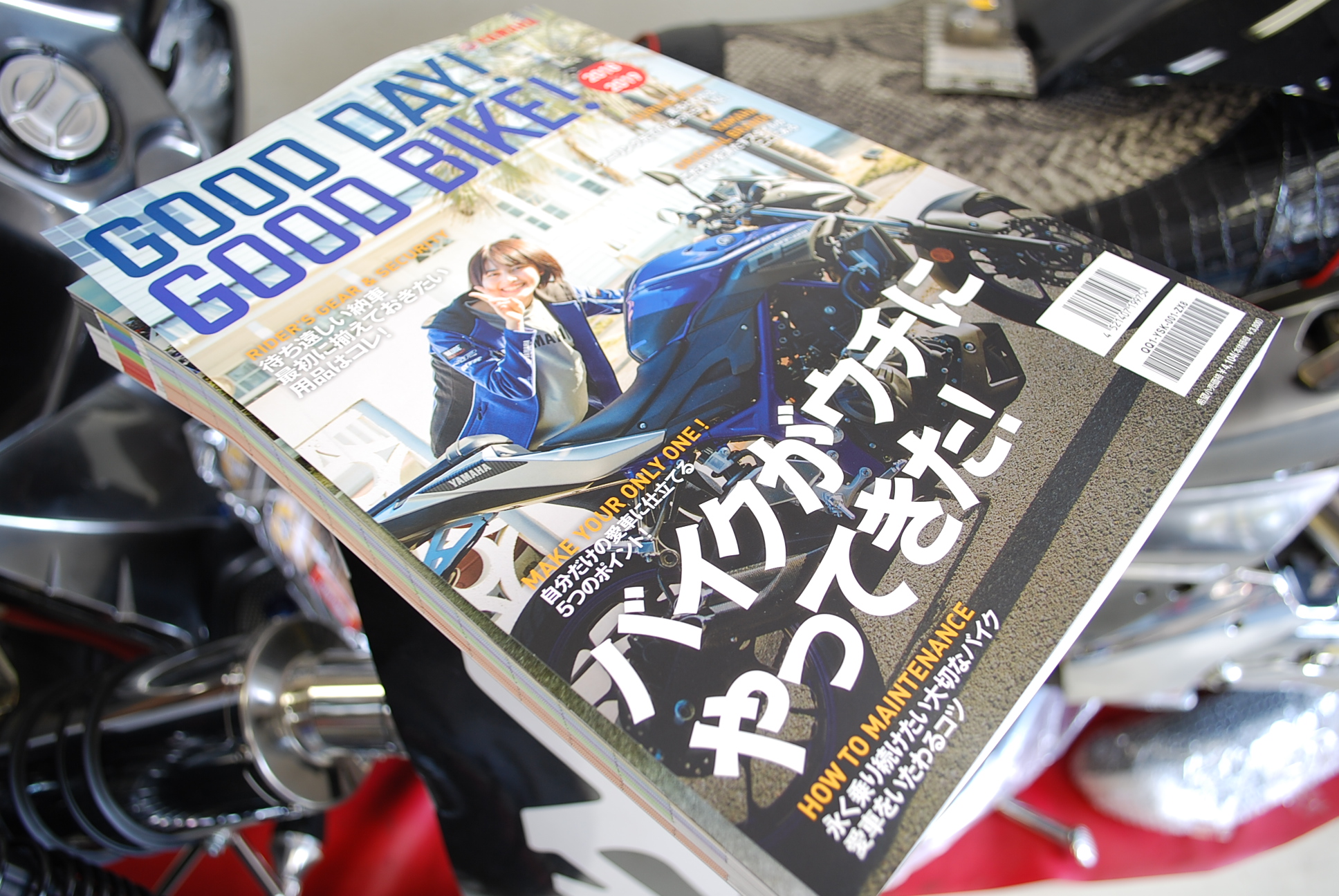 2018 YS　カタログ 002